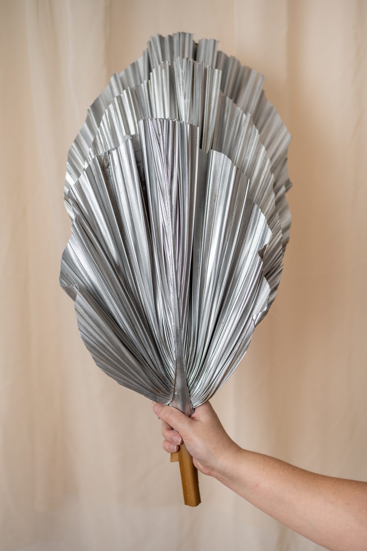A hand holding up a large silver pleated palm leaf against a cream curtain.