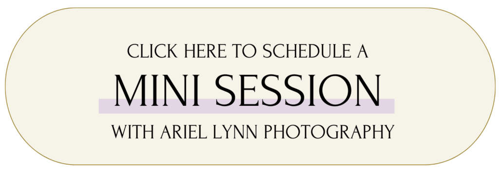 click here to schedule a mini session with ariel lynn photography