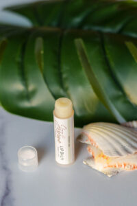 Lip balm from Wild Jasmine tube with cap off, placed on a table beside a large green leaf and a seashell.